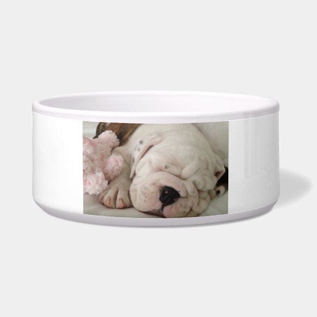 Comedero Bulldog de cachorros de mascota durmiendo (Frente)