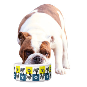 Comedero Bulldog inglés y cuadrícula azul y amarillo pálido