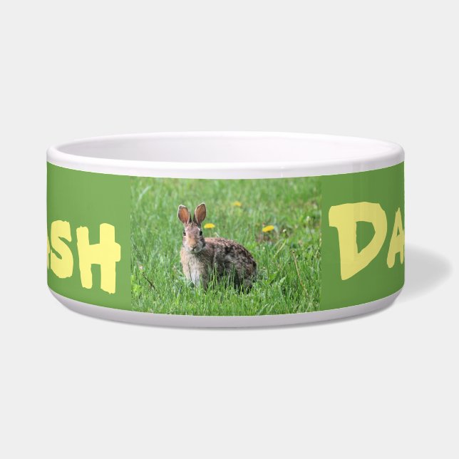 Comedero Bunny (Frente)