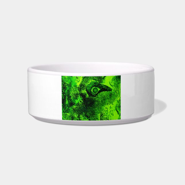 Comedero buscando verde (Frente)