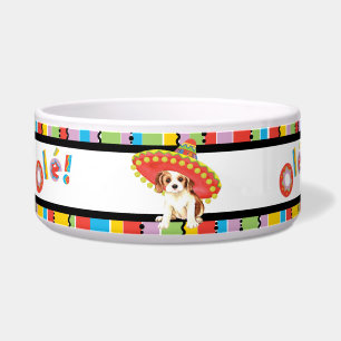 Comedero Caballeros de la fiesta