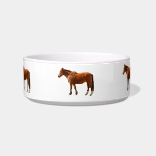 COMEDERO CABALLO