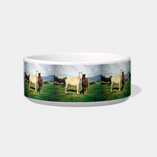 Comedero Caballos/Cabalos/Horses