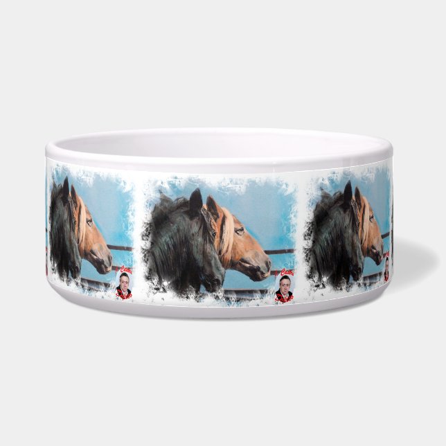 Comedero Caballos/Cabalos/Horses (Frente)