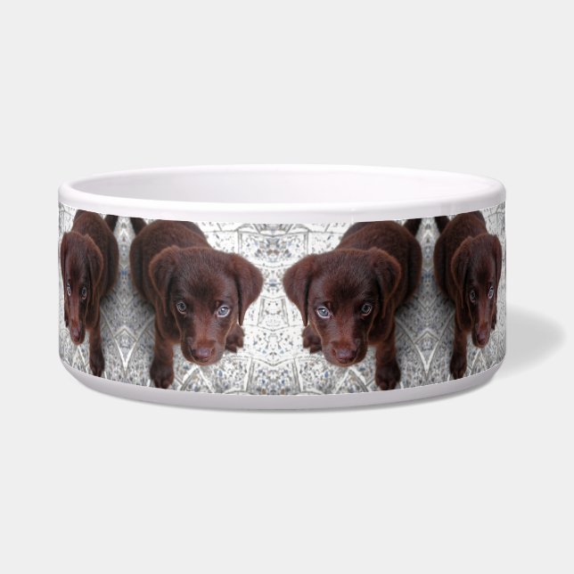 Comedero Cachorro (Frente)