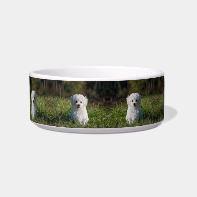 Comedero Cachorro blanco lindo (Frente)