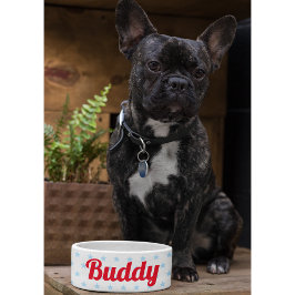 Comedero Cachorro de cachorro de perro gato Kitty Mascota N