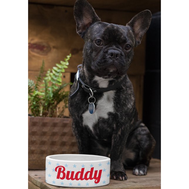 Comedero Cachorro de cachorro de perro gato Kitty Mascota N (Cute Dog Puppy Cat Kitty Pet Name Blue Stars Food Bowl)