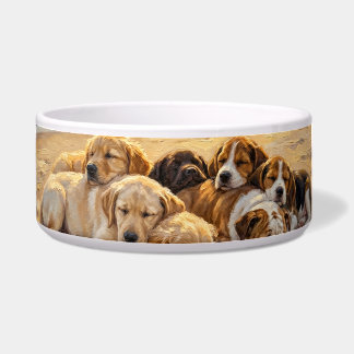 Comedero Cachorros en la playa 