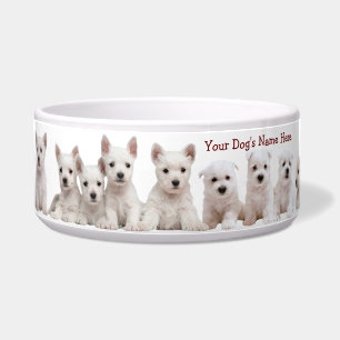 Comedero Cachorros Westie Esperando Pacientemente Su Comida