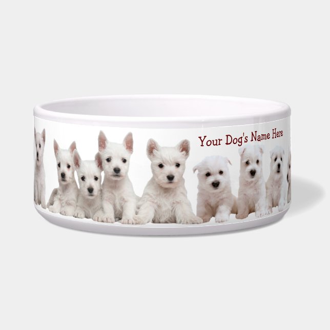 Comedero Cachorros Westie Esperando Pacientemente Su Comida (Frente)