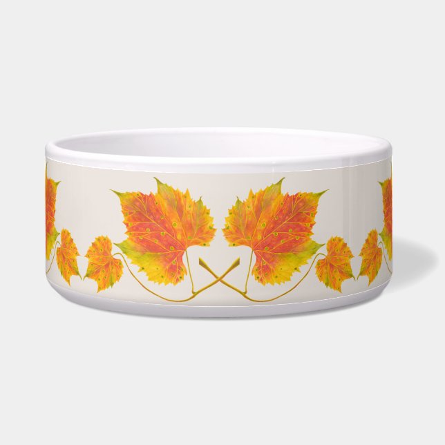 Comedero Caída en una gran ensalada (Frente)