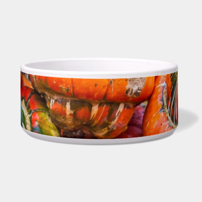 Comedero Calabazas coloridas (Frente)