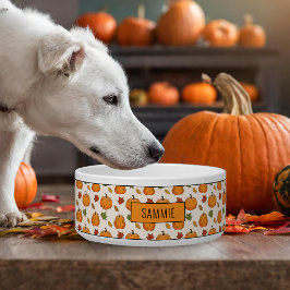 Comedero Calabazas Y Coloridas Hojas De Otoño Patrón Y Nomb