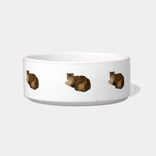Comedero Calico Cat (Frente)