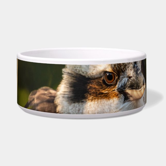 Comedero Calumnioso de risa (Frente)