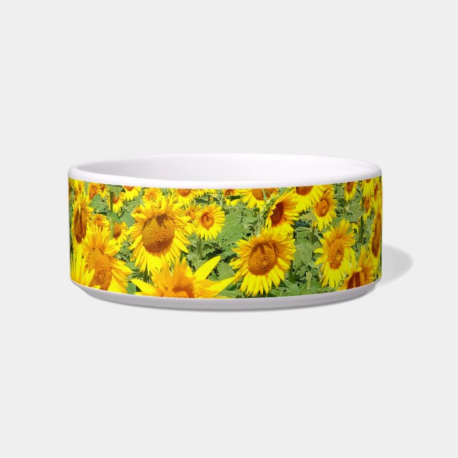 Comedero Campo de girasol (Frente)