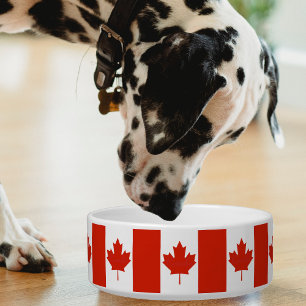 Comedero Canadá Rojo Blanco Bandera Canadiense Maple Leaf