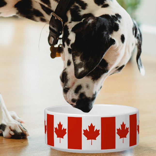 Comedero Canadá Rojo Blanco Bandera Canadiense Maple Leaf (Canada Canadian flag pattern pet bowl)