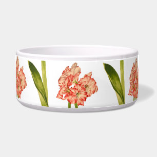 Comedero Candy Cane Lilies en un tazón de ensaladas