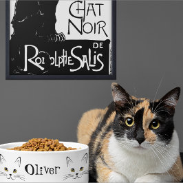 Comedero Cara de Gato Nombre Personalizado 