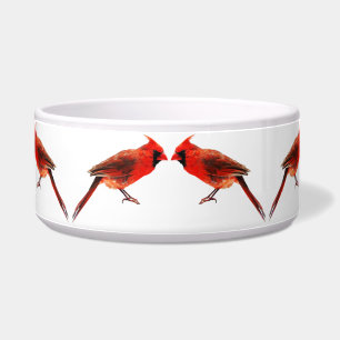 Comedero Cardenales