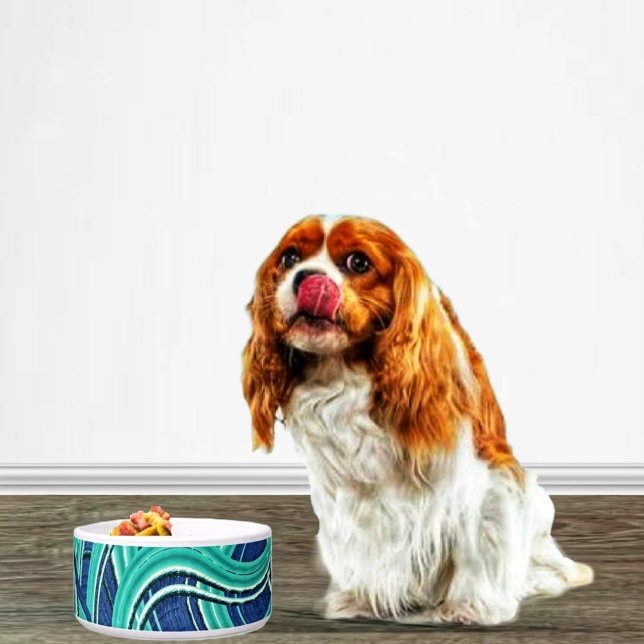 Comedero Carreteras (A lovely bowl for your favorite pet to feed from!)