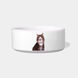 Comedero Cat Pet Bowl