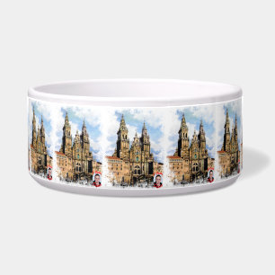 Comedero Catedral de Santiago de Compostela (A Coruña)