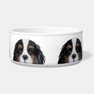 Comedero Cavalier King Charles Spaniel Tazón tricolor