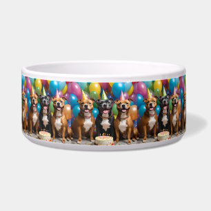 Comedero Celebración de Staffy: Una fiesta de cumpleaños co