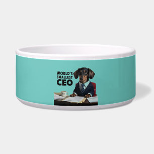 Comedero CEO más pequeño del mundo, adorable y divertido da