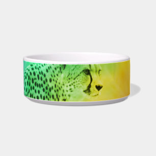Comedero Cheetah arcoiris