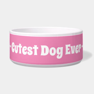 Comedero Chica Rosa Perro Más Lindo Del Mundo Mascota
