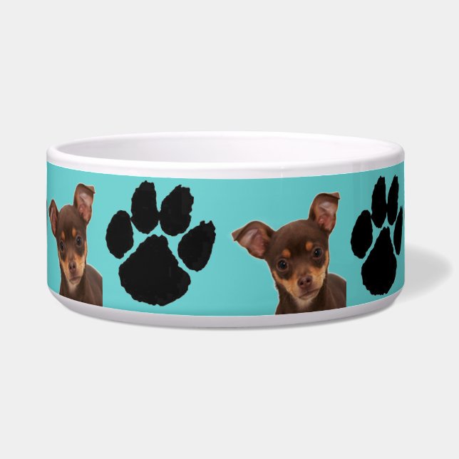 Comedero Chihuahua (Frente)