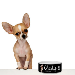 Comedero Chihuahua Bowl