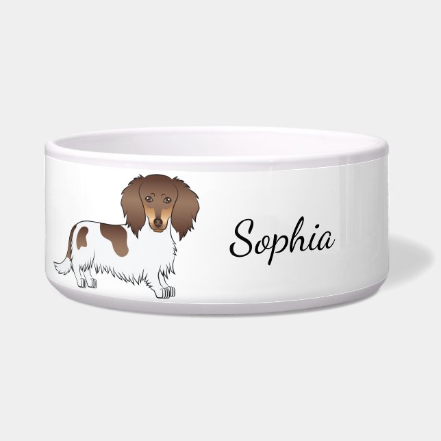 Comedero Chocolate y Tan Piebald Dachshund de Pelo Largo y  (Frente)