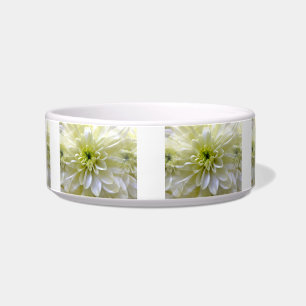 COMEDERO CHRYSANTHEMUM
