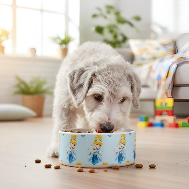 Comedero Cinderella Bowl (Subido por el creador)