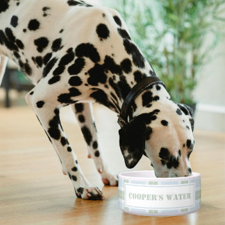 Comedero Classic Blue Green Plaid Pattern Name Dog Water