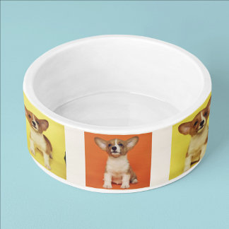Comedero Colage de 9 fotos personalizadas de tu perro