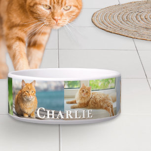 Comedero Colaje de Fotos de Gatos con Nombre Personalizado