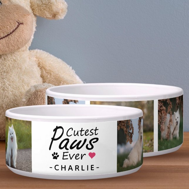 Comedero Collage de fotos de perros familiares moderno con  (Subido por el creador)