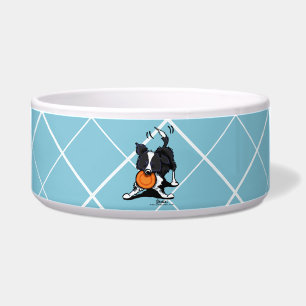 Comedero Collie de borde en juego