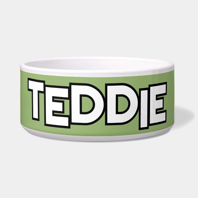 Comedero Colores Boho Verde Sage Turquesa (Frente)