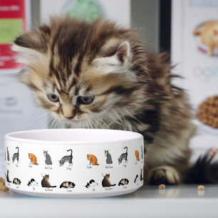 Comedero Comandos de Cat