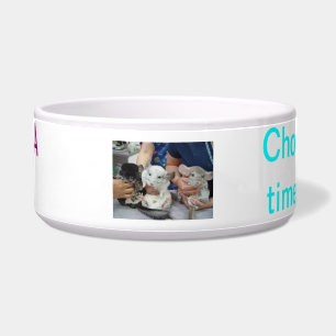 Comedero comida de la chinchilla