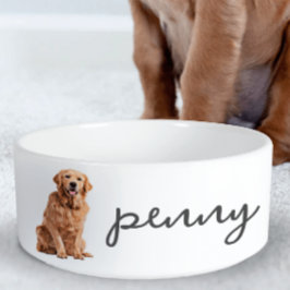 Comedero Comida de perro recuperadora de oro personalizada