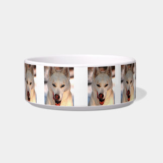 Comedero Comida del husky siberiano/cuenco del agua