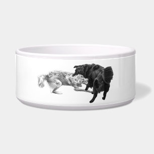 Comedero Comida para mascotas, alegría sombreada